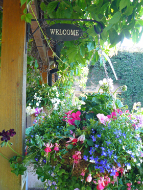 A Hanging Basket Photo of A Hanging Basket